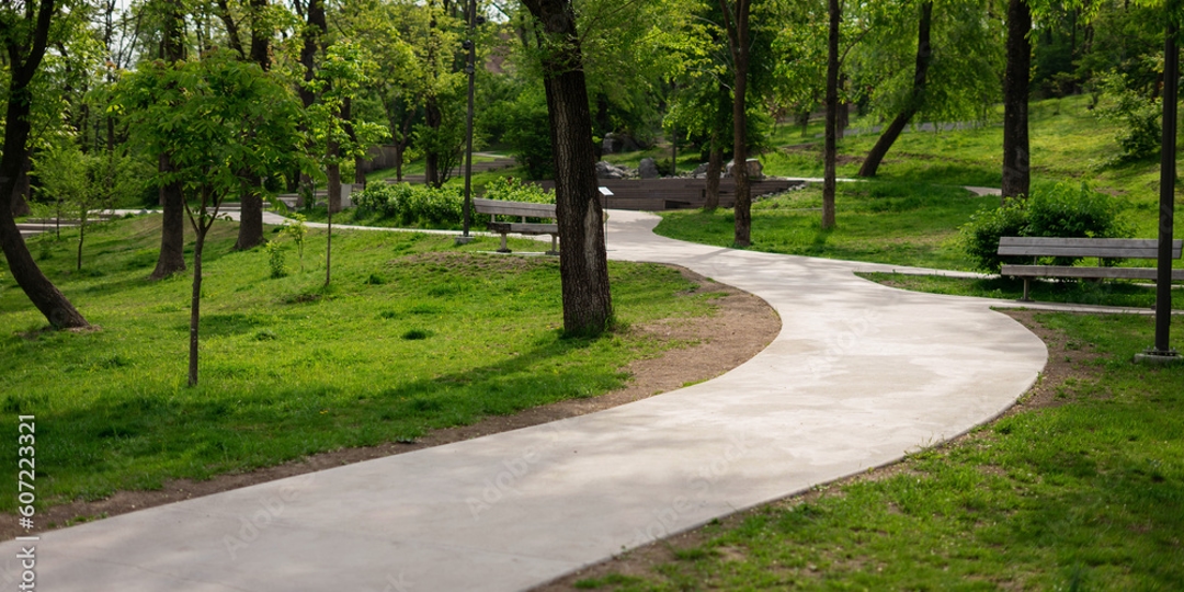 concrete pathway surrounded by trees