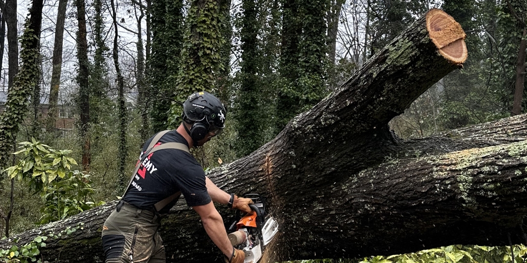 Monster Tree Service Image