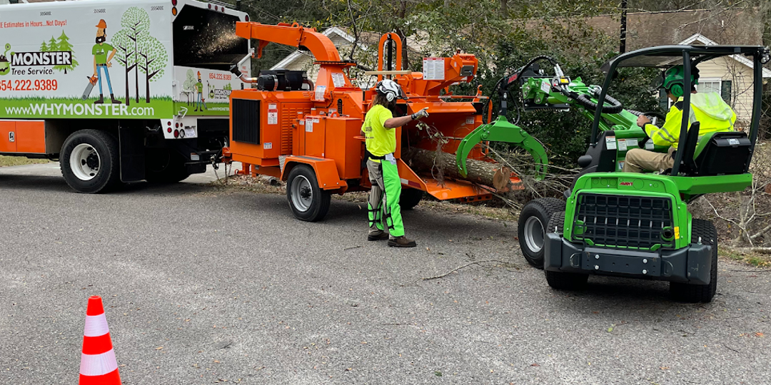 Monster Tree Service Hilton Head