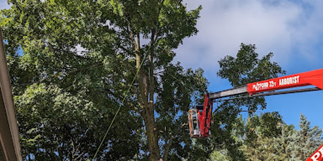 Monster Tree Service Image